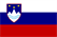 Flag -slovenia